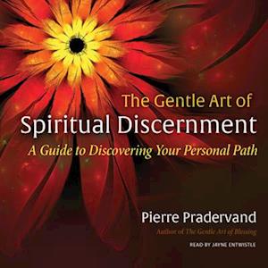 Gentle Art of Spiritual Discernment