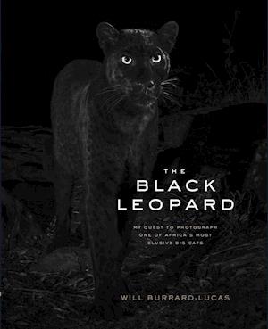 The Black Leopard