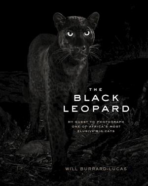 Black Leopard