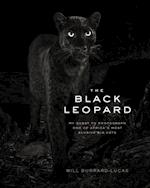 Black Leopard