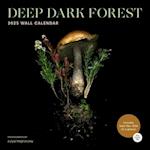 Deep Dark Forest 2025 Wall Calendar