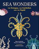 Sea Wonders