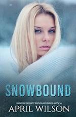 Snowbound: (McIntyre Security Bodyguard Series - Book 10) 