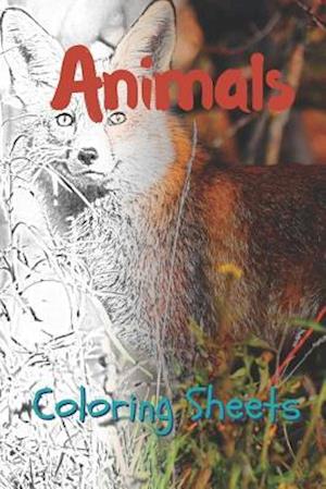 Animals Coloring Sheets