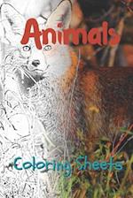 Animals Coloring Sheets