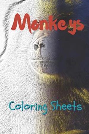 Monkey Coloring Sheets