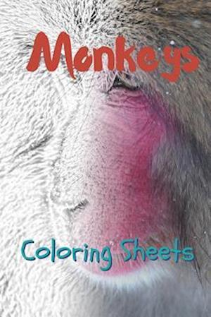 Monkey Coloring Sheets