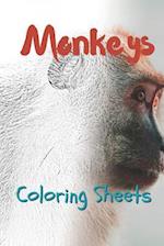 Monkey Coloring Sheets