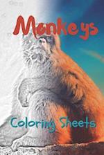 Monkey Coloring Sheets