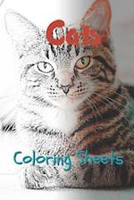 Cat Coloring Sheets