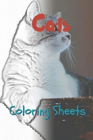 Cat Coloring Sheets