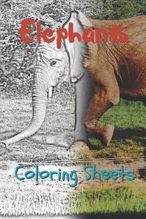 Elephant Coloring Sheets