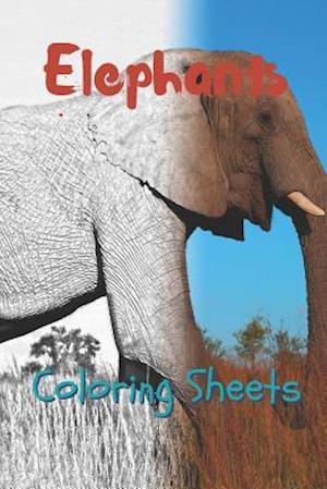 Elephant Coloring Sheets