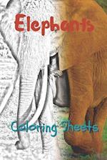 Elephant Coloring Sheets