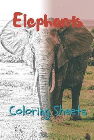 Elephant Coloring Sheets