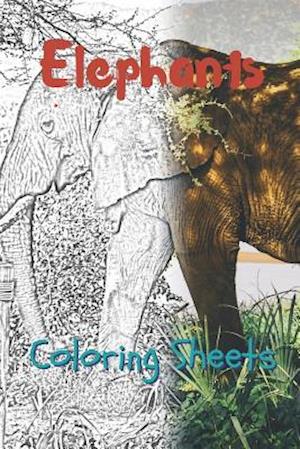 Elephant Coloring Sheets