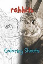 Rabbit Coloring Sheets