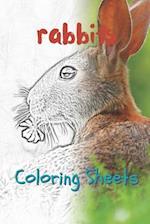 Rabbit Coloring Sheets