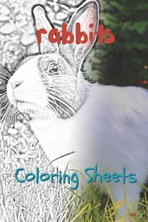 Rabbit Coloring Sheets