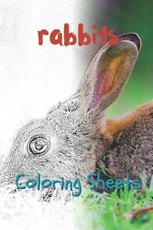 Rabbit Coloring Sheets