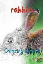 Rabbit Coloring Sheets