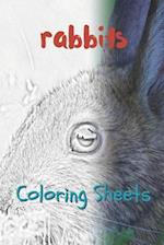 Rabbit Coloring Sheets