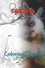 Rabbit Coloring Sheets