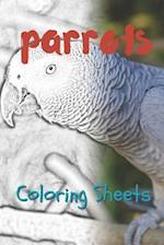 Parrot Coloring Sheets