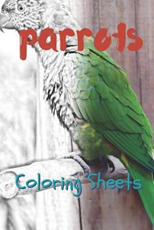 Parrot Coloring Sheets