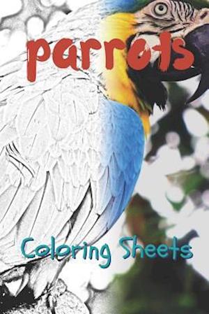 Parrot Coloring Sheets