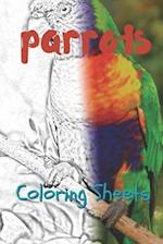 Parrot Coloring Sheets