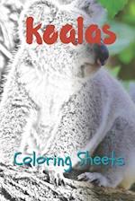 Koala Coloring Sheets