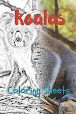 Koala Coloring Sheets