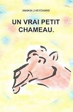 Un vrai petit chameau.