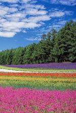 Flower Field