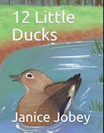 12 Little Ducks