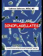 What Is a Dinoflagellate?