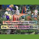 The Flower Fairies Meet the Talking Rainbow Rocks