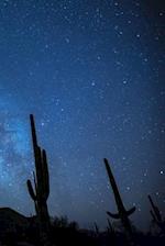 Milky Way with Cactus
