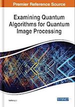 Examining Quantum Algorithms for Quantum Image Processing