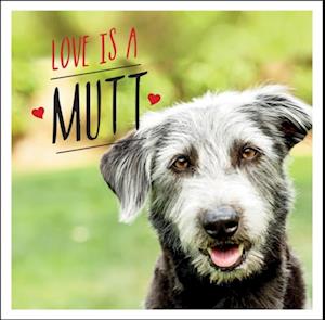 Love is a Mutt