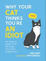 Why Your Cat Thinks You're an Idiot