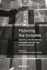 Picturing the Invisible