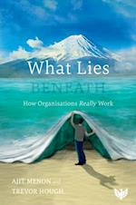 What Lies Beneath : How Organisations Really Work