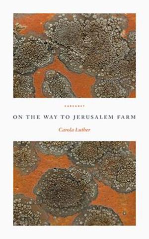 On the Way to Jerusalem Farm