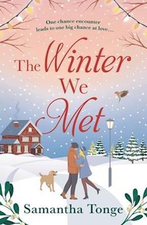 The Winter We Met