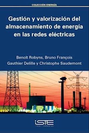 Gestión y valorización del almacenamiento de energía en las redes eléctricas