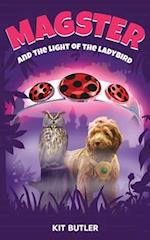 Magster and the Light of the Ladybird 