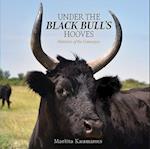 Under the Black Bull’s Hooves