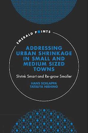 Addressing Urban Shrinkage in Small and Medium Sized Towns